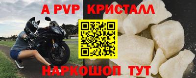 спиды Гатчина
