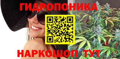 спиды Гатчина