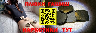 спиды Гатчина
