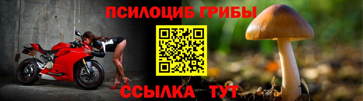 Псилоцибиновые грибы прущие грибы Гуково